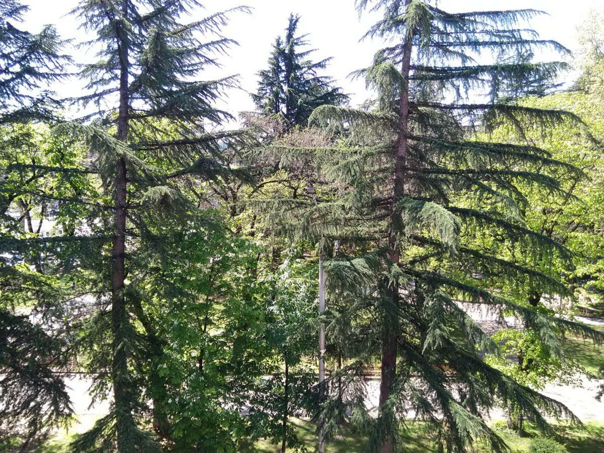 35 Paliashvili Koetaisi Buitenkant foto